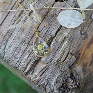 Collier en acier inoxydable doré avec inclusion de fleur de carotte dans de la résine transparente. -  collier fleur Clermont
