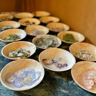 Atelier pour apprendre à faire un herbier à Clermont-Ferrand