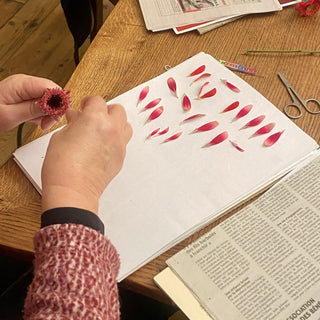 Atelier création d'herbier  - 4