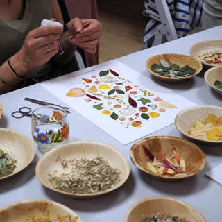 Atelier création d'herbier clermont-ferrand