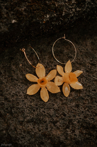 Bijoux Créoles en vraies fleurs de jonquilles jaunes - Shooting photo Jadograph