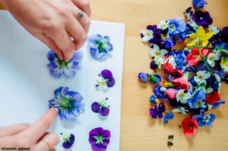 Faire sécher des fleurs