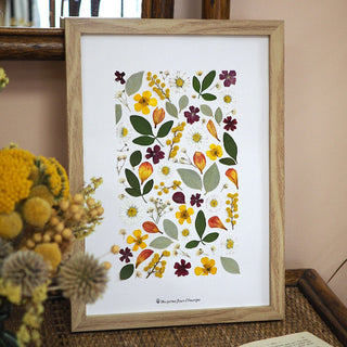Tableau herbier champ d'été en vraies fleurs d'Auvergne