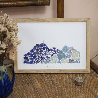 Tableau herbier du Puy-de-Dôme en vraies fleurs d'Auvergne à Clermont