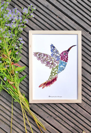 Tableau herbier colibri en vraies fleurs Clermont