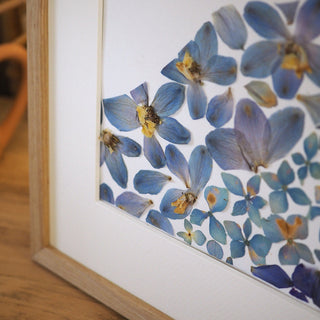 Tableau herbier du Puy-de-Dôme avec de vraies fleurs bleues avec un passe-partout - Clermont