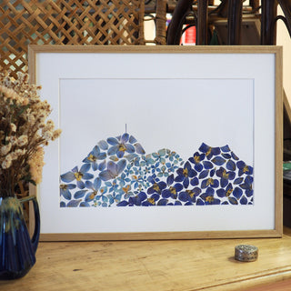 Tableau herbier du Puy-de-Dôme avec de vraies fleurs bleues avec un passe-partout