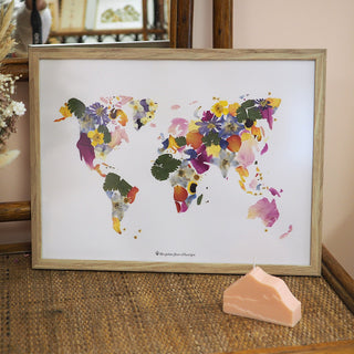 Tableau herbier carte du monde en vraies fleurs d'Auvergne
