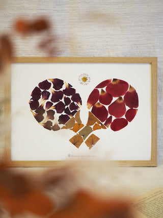 Tableau herbier idée cadeau sportif - herbier tennis de table en fleurs d'Auvergne