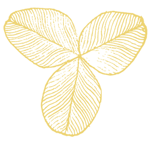 Mes petites fleurs d'Auvergne - création d'herbiers et bijoux en vraies fleurs à Clermont-Ferrand