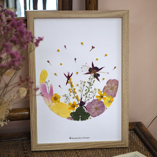 Tableau herbier pep's en vraies fleurs d'Auvergne