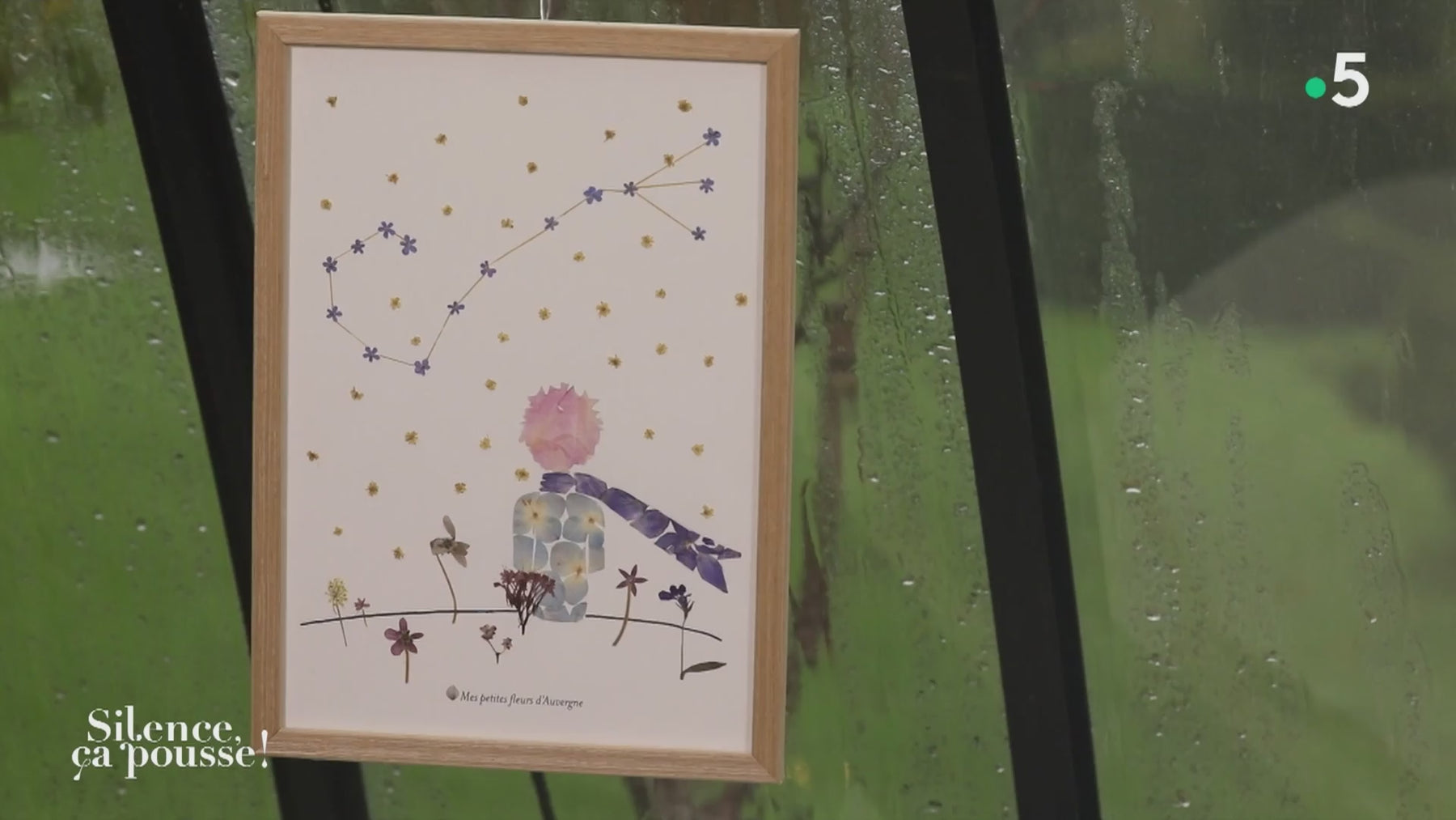 Passage de Mes petites fleurs d'Auvergne dans l'émission de France 5 "Silence ça pousse"