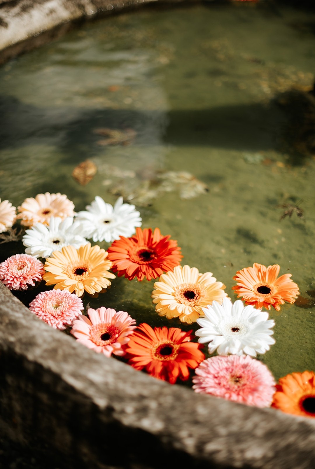 bouquet de mariée et décorations florales upcycling de bouquet gerbera