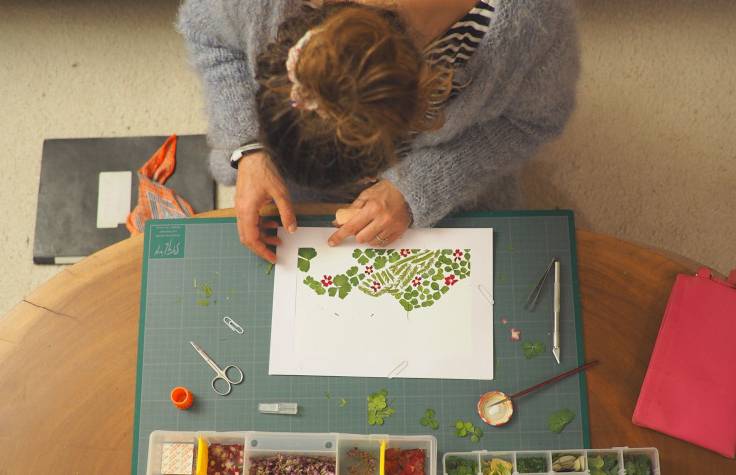 Création herbier Puy-de-Dôme en fleurs séchées d'Auvergne