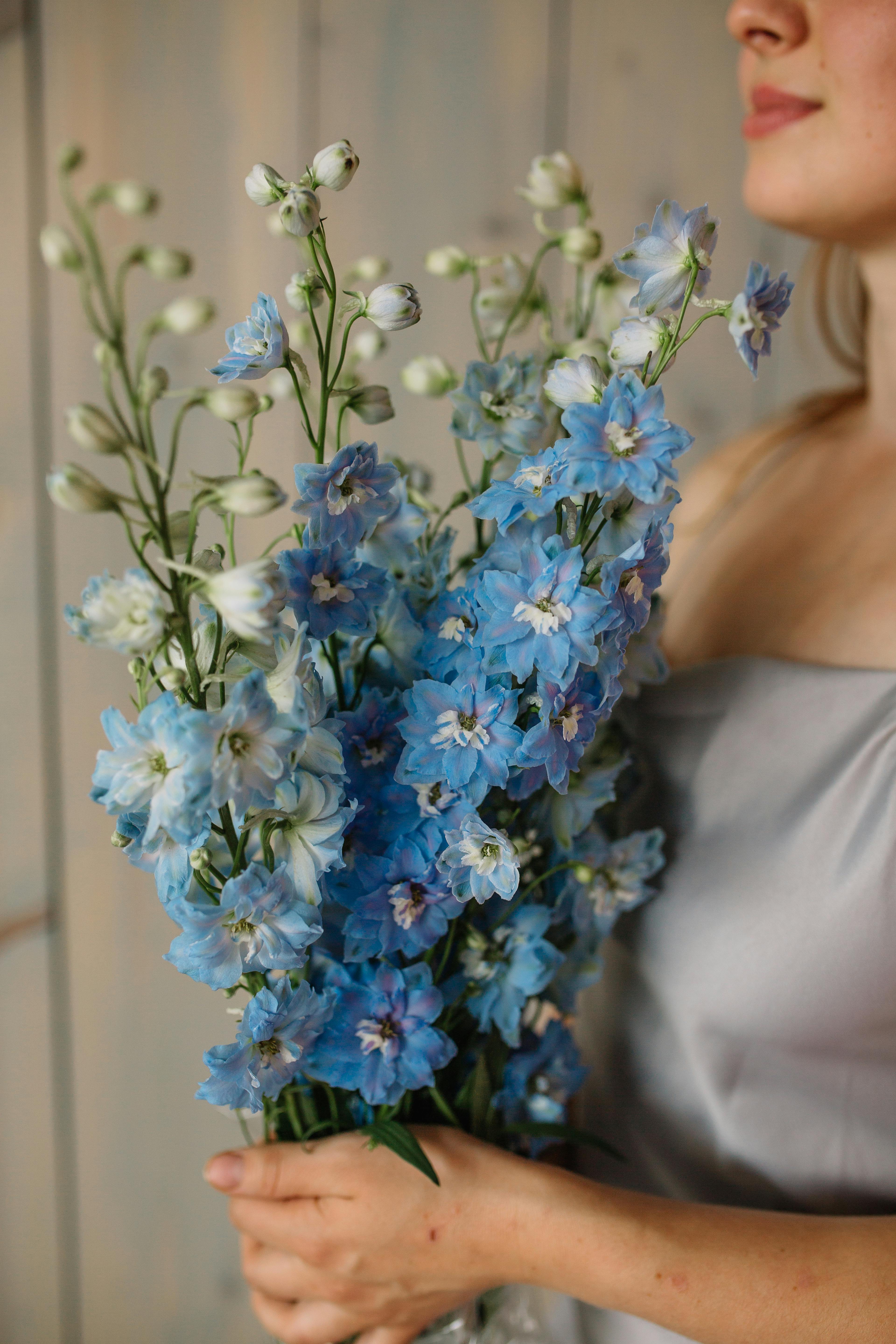 bouquet de mariée delphinium